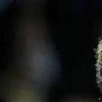 11月20日，据《世界体育报》报道，巴塞罗那为亚马尔制定了康复计划，希望其可以以