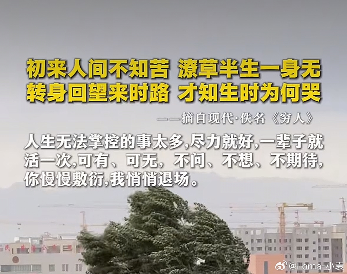 情出自愿 事过无悔不谈亏欠 不负遇见  ​​​