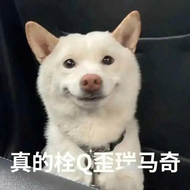 我瞅了一圈的rs，可以睡觉了 ​​​