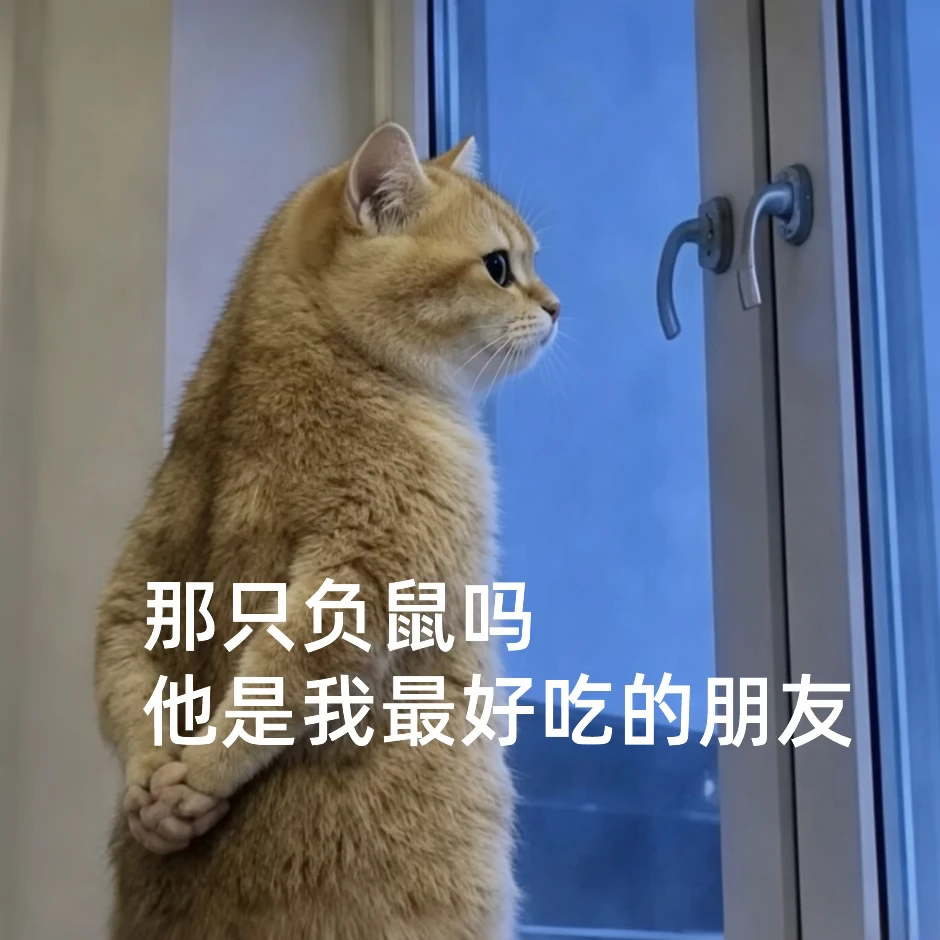 听说最近负鼠很🔥