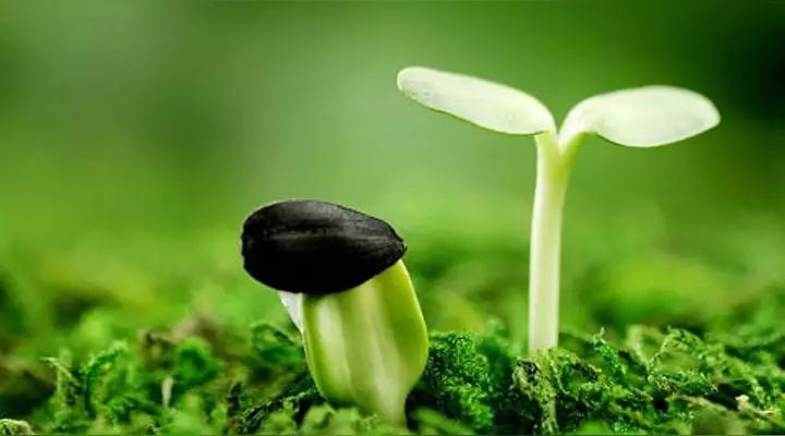 很多人长大后都会有一种说不出的失落：明明生活越来越稳定，心里却越来越空。小时候，