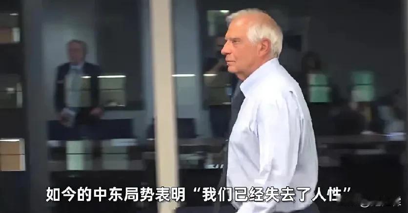 欧盟高级外交官，这样说：“如今中东局势表明，我们已经失去了人性。”

加沙地带正