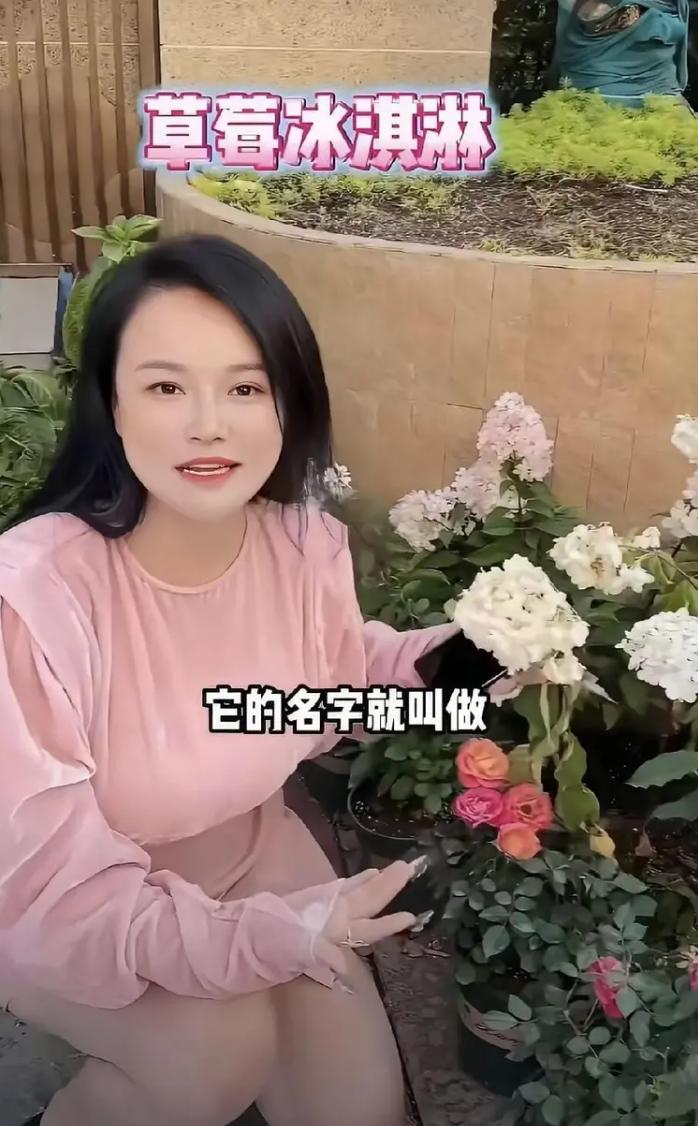 近日，邹市明一家又上了热搜！
冉莹颖晒图上海花园别墅，镜头中繁花盛开，她还对花卉