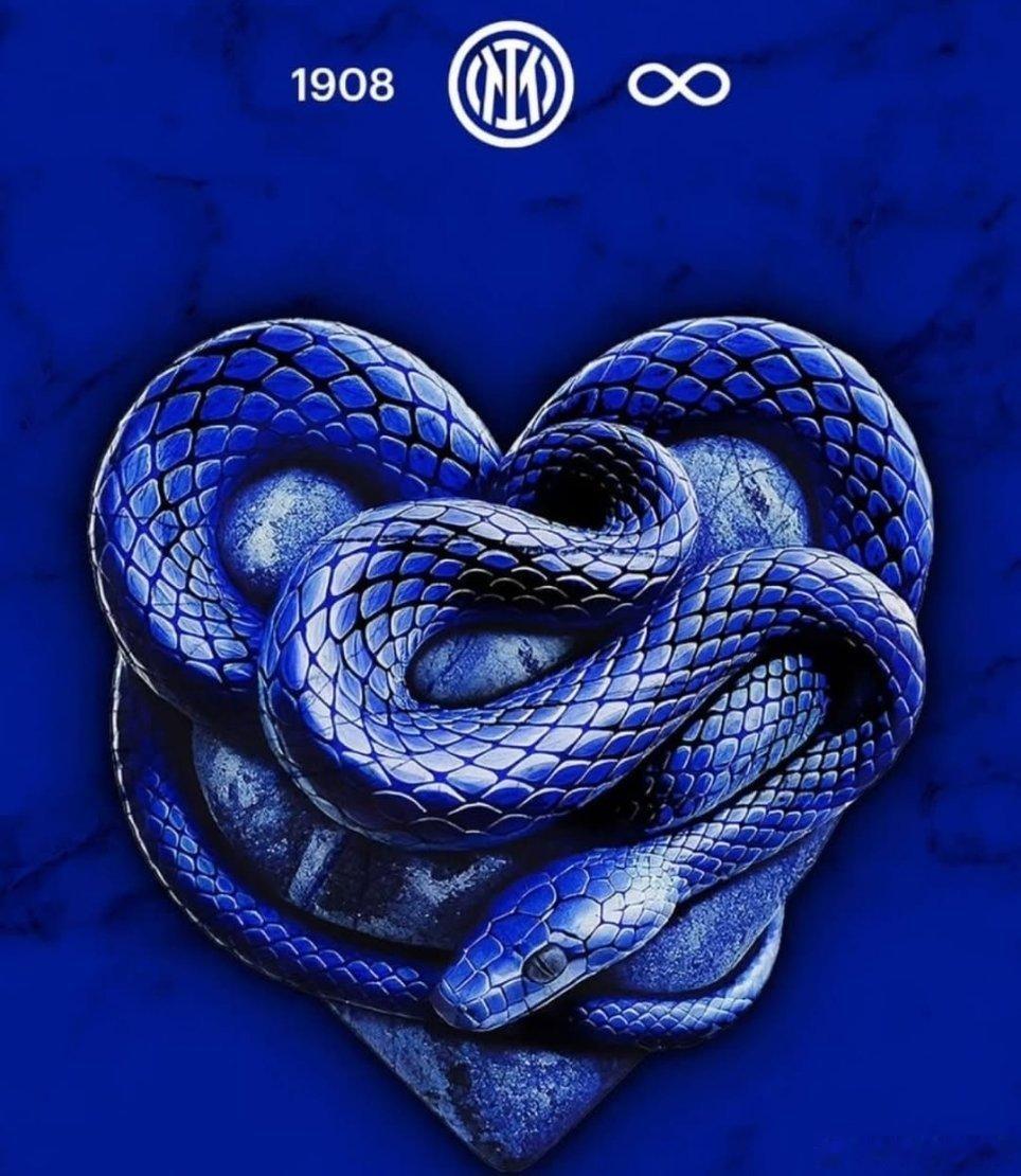 不论谁来不管如何，唯有国际米兰永恒💙🖤国际米兰意甲欧冠 ​​​