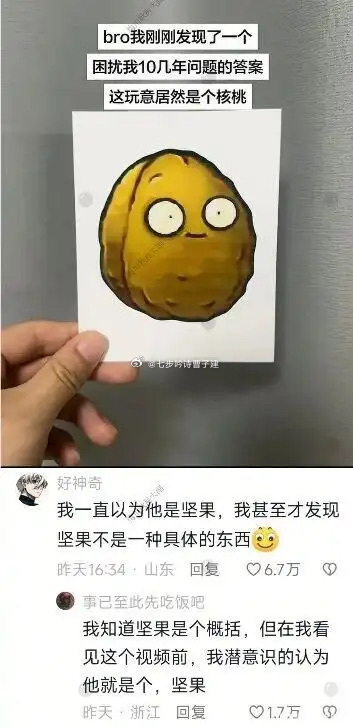 它居然是核桃 ？？？？？？？？？ 
