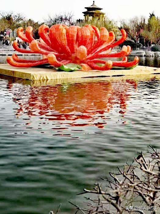 今天是正月十六，
送走的是年，
留下的是缘。

让我们去的怀抱春天，
品尝春的味