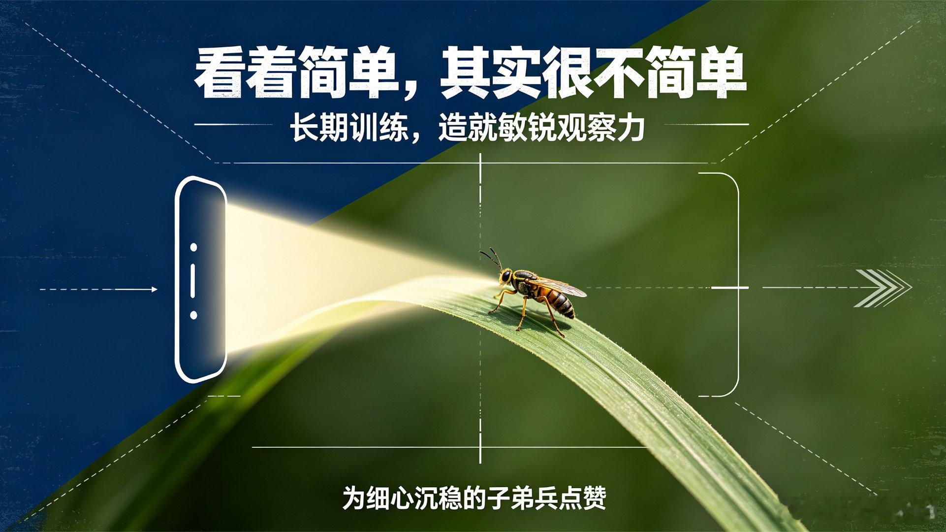 军人用手机20倍长焦锁定昆虫军人借助手机20倍长焦，精准锁定远处微小昆虫。看似轻