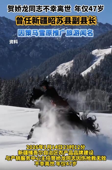 2026年1月14日深夜，新疆维吾尔自治区农产品品牌建设与产销服务中心主任贺娇龙