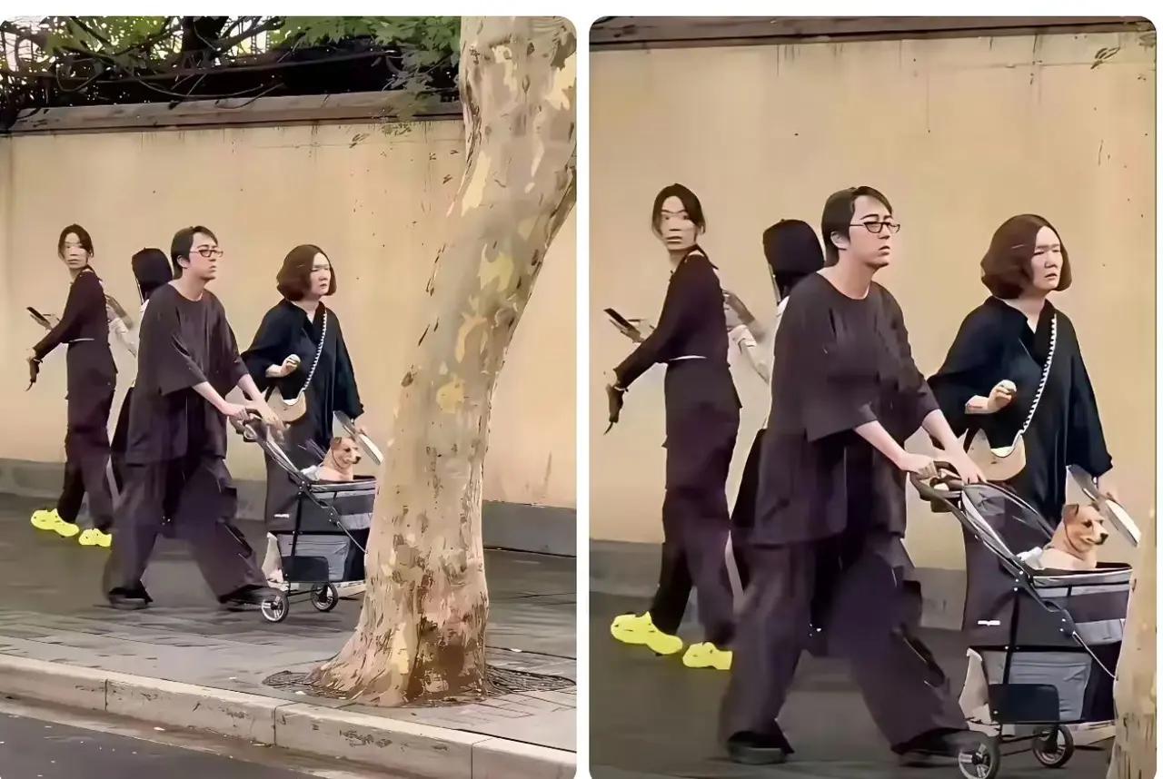 “真有人把狗当祖宗啊？”男子推婴儿车“服侍”狗子逛街，全程贴心的像照顾孩子，路人
