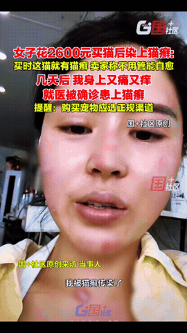 崩溃了！浙江嘉兴，一女子有钱没地方花了，竟然花2600块钱买了一只猫当宠物，结果