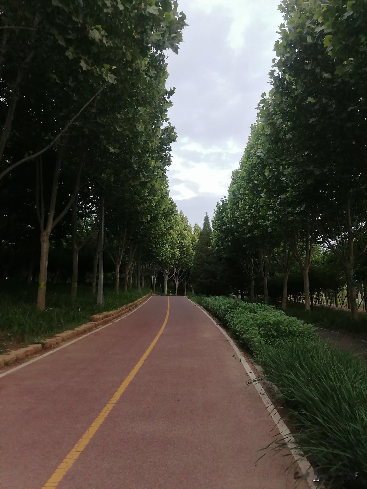 放空自己，只需要在一条静静的路上，一遍又一遍地奔跑。