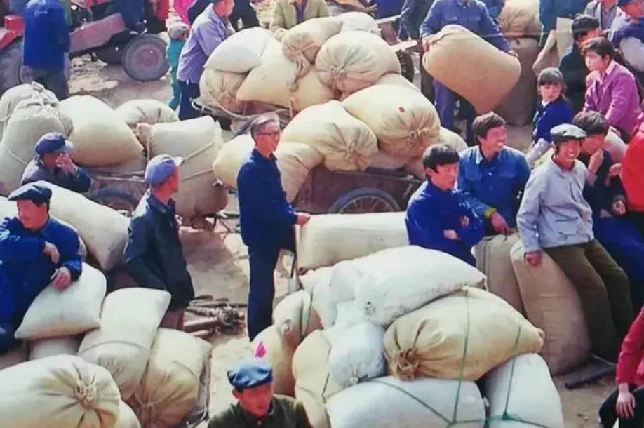 #你会看不起农民吗？为什么？#当然不会，我的爷爷是农民，我的父亲是农民，我也是正