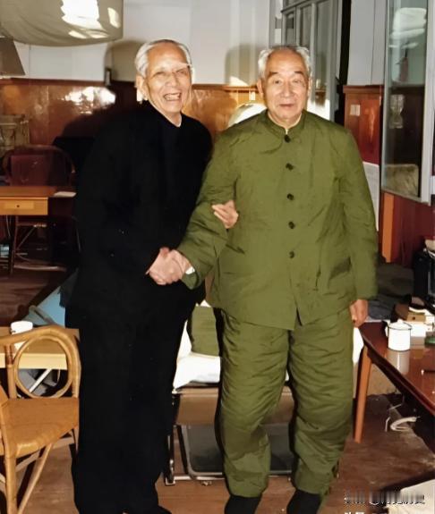 1990年，徐向前与王震的合影，徐帅穿的是大棉裤，十分接地气。
在十大元帅中最为