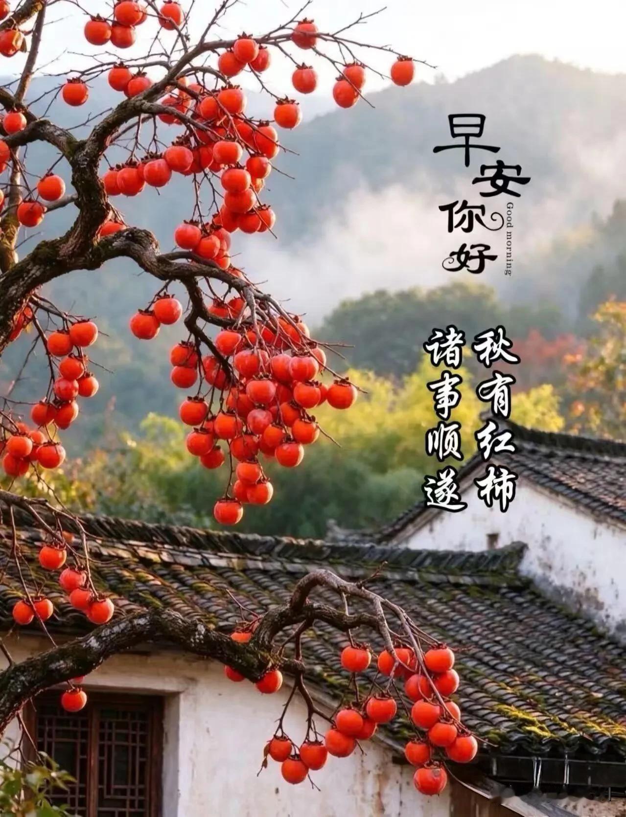 一树红柿映晨光，愿日子柿柿如意，万事顺遂。