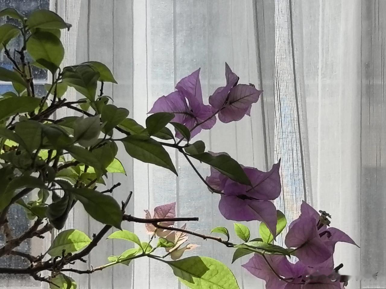 夏日生活打卡季