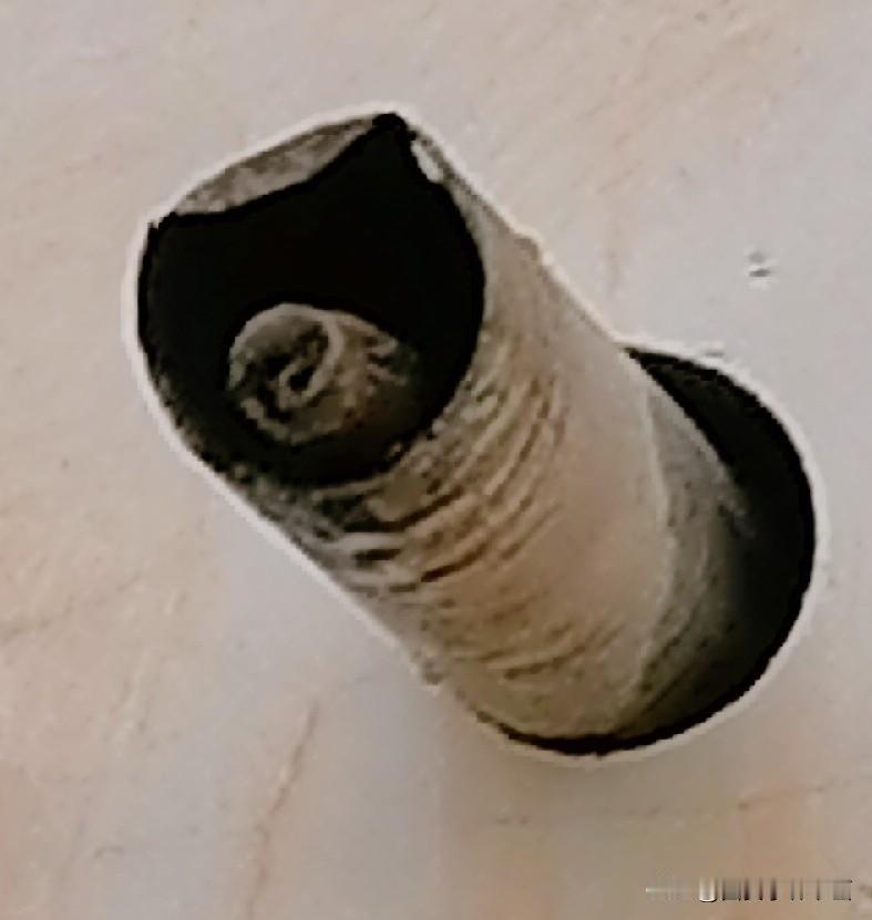 《烟筒里面一麻雀：千载难逢，让我抓拍到了。刚拍了一张照片，它飞啦（李林4月24日