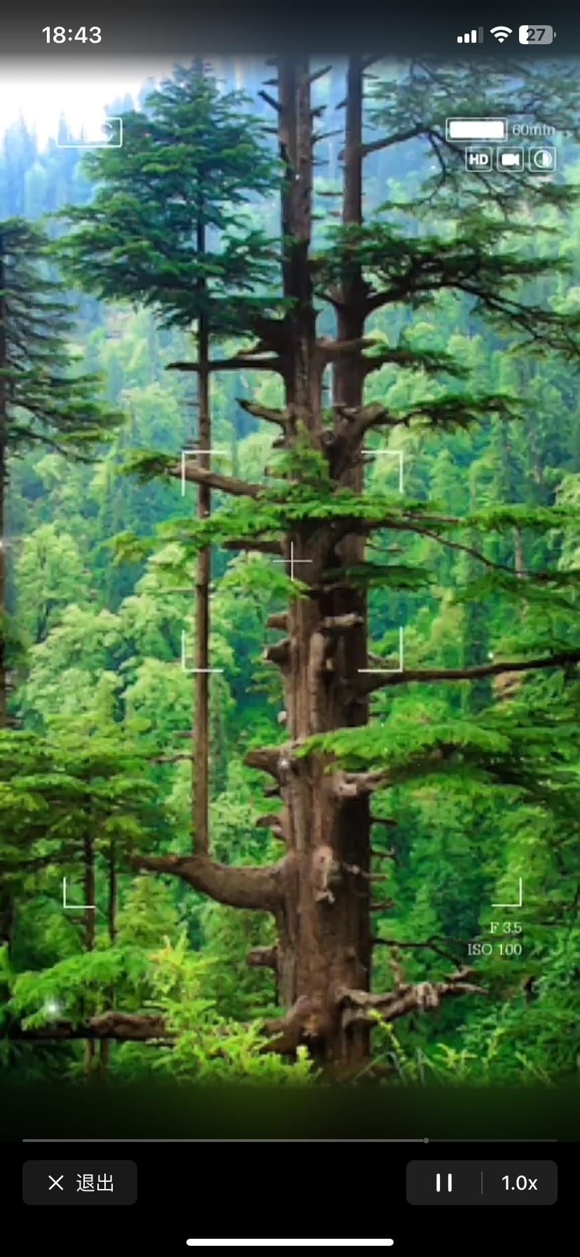 其实，大彻大悟从来不是一个终点，而是一个持续的过程。它不是等你经历了什么惊天动地