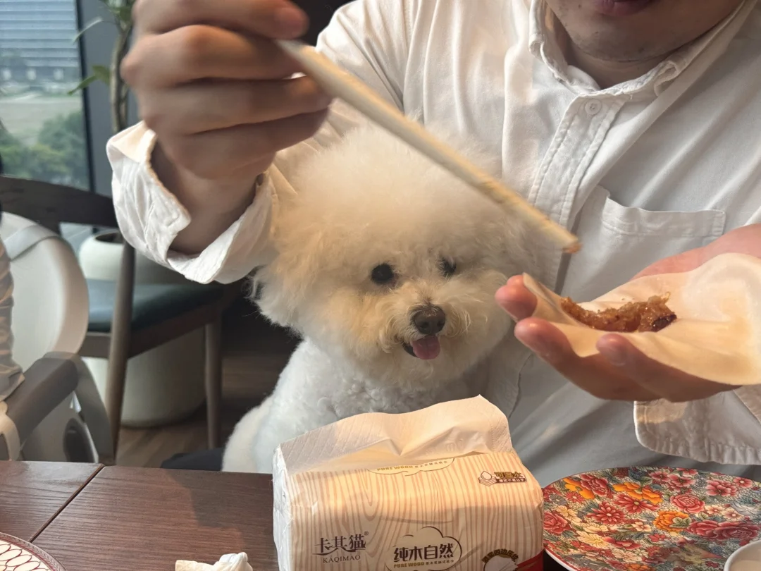 救命！