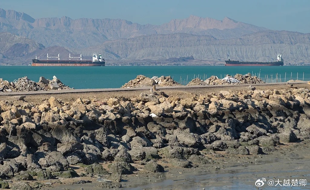 法英德意荷日6国发布联合声明，宣布准备共同采取适当措施，保障霍尔木兹海峡的航行安