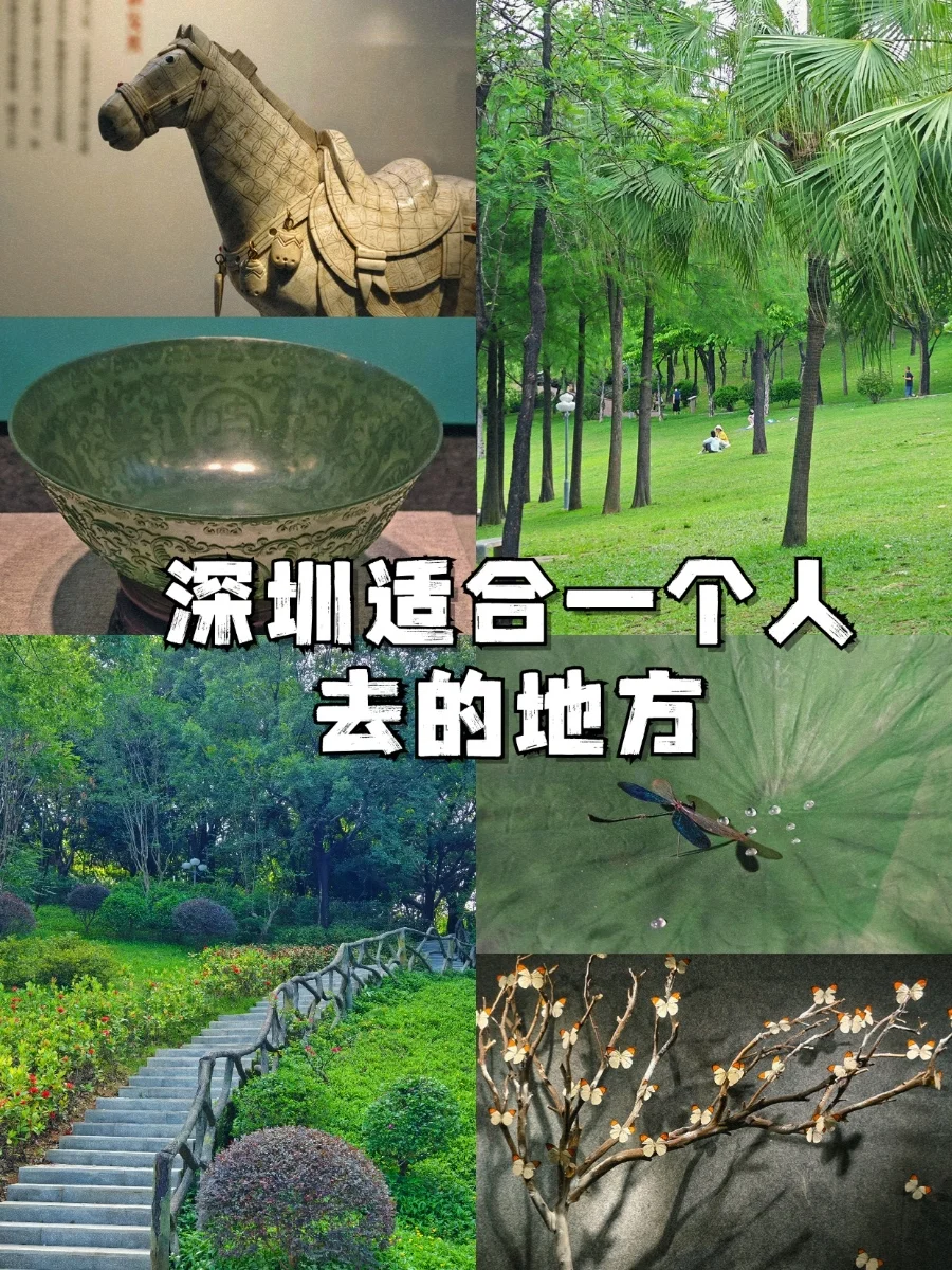 深圳适合一个人去的地方（41/100）