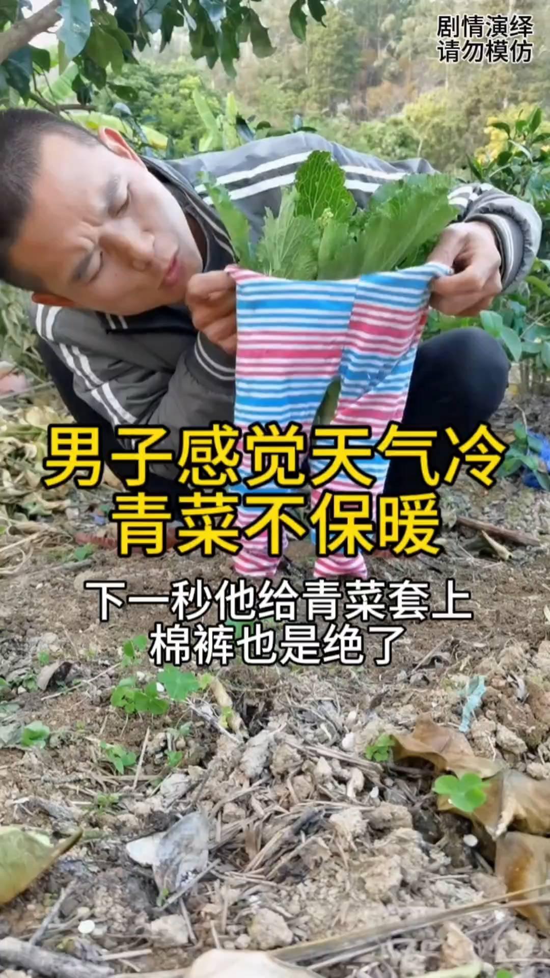 男子感觉天气冷，青菜不保暖，下一秒他给青菜套上棉裤也是绝了。
男子觉得天气越来越