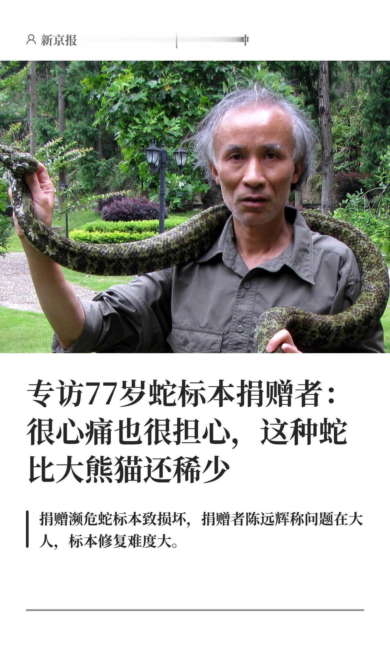 得先搜一下这事有没有后续说法，尤其标本到底损成啥样、馆方怎么处理，别光凭一段改写