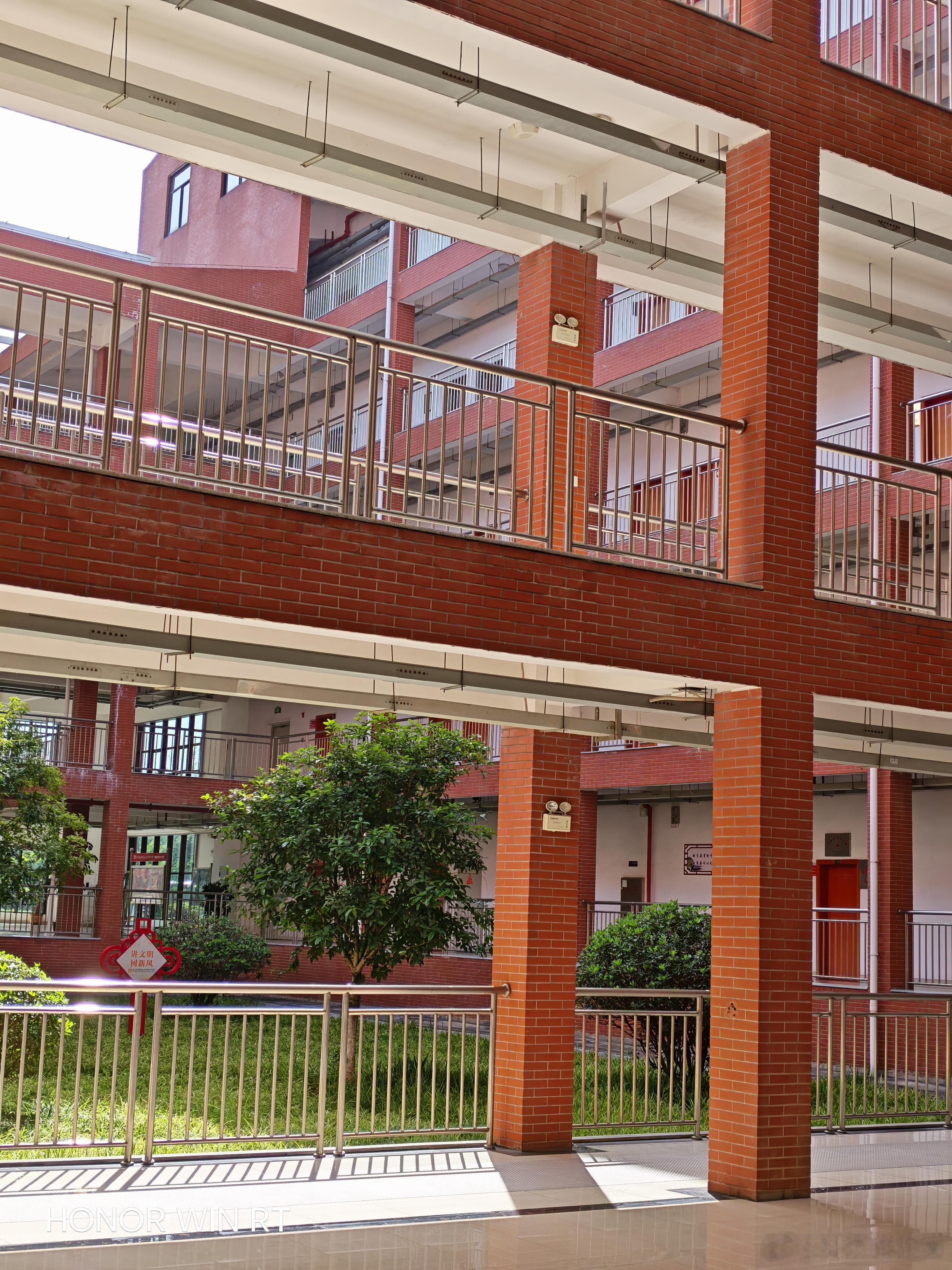 歌手2026你会看吗？