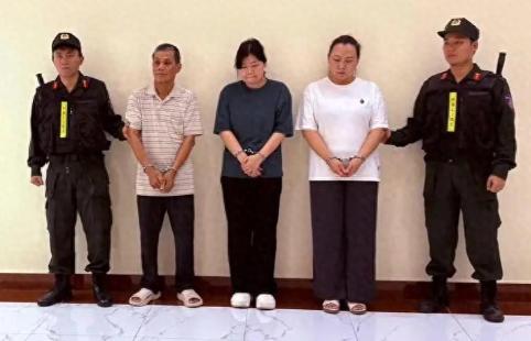 一家三口齐上阵，把中国产的电力设备换成加拿大身份，骗了越南电力系统整整三年，拿下