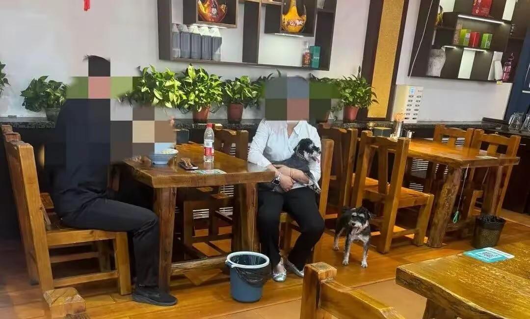 太解气！女子抱狗进店被劝离，恼羞成怒疯狂刷差评！店家一招格局拉满，全网狂赞
 