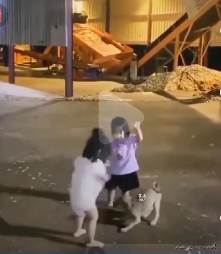 小狗逗二个小女孩，开头小狗咬穿白衣女孩的连衣裙，穿紫色的女孩帮它躯赶，狗狗伸口后