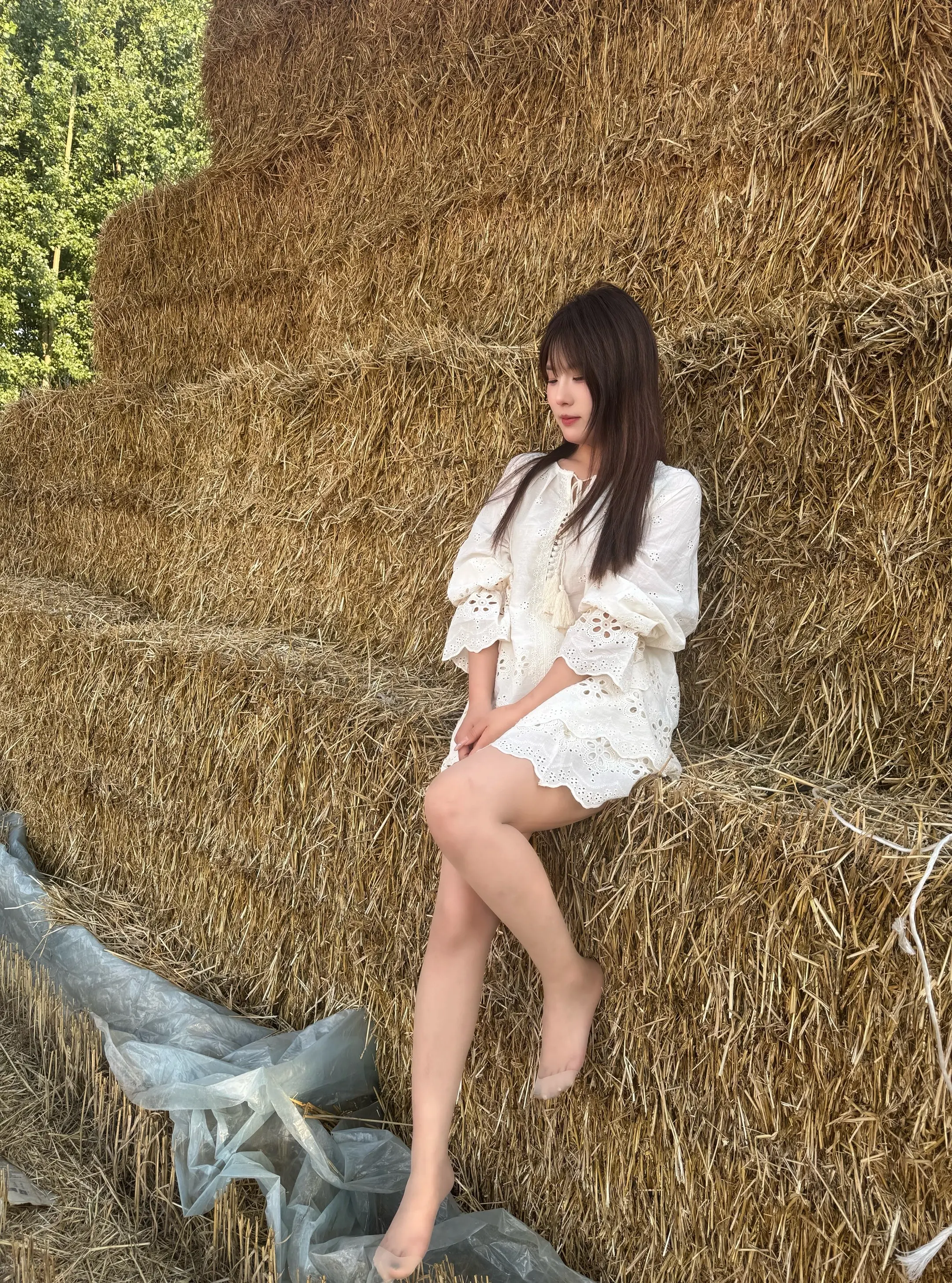 🌾晚霞与麦田