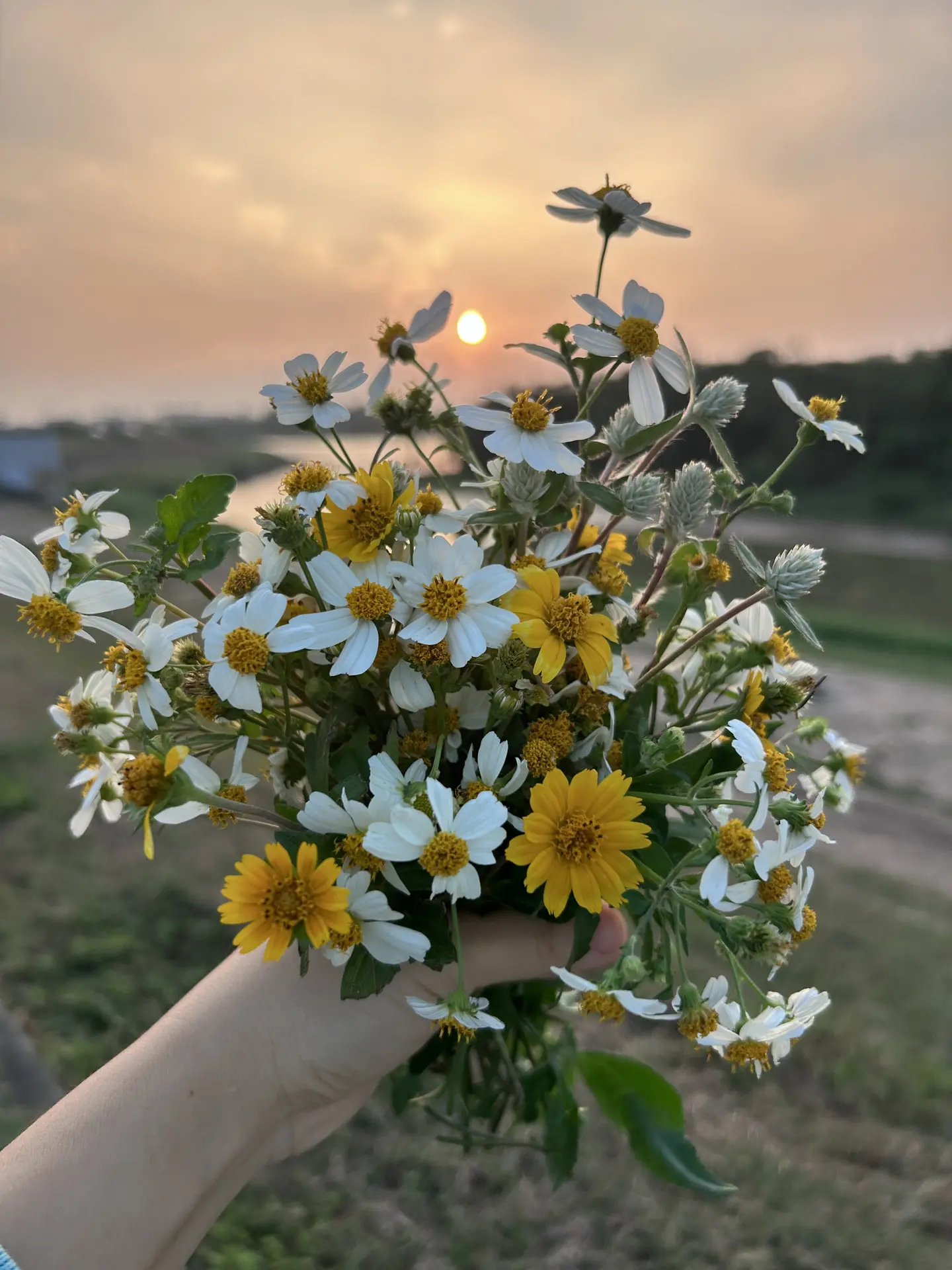 大梦，今晚直播见！