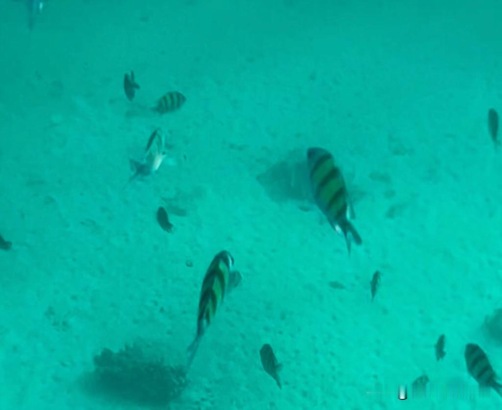 🇹🇭泰国旅行 18 条禁忌｜踩中直接罚款
宝子们！泰国好玩但这些雷千万别踩！