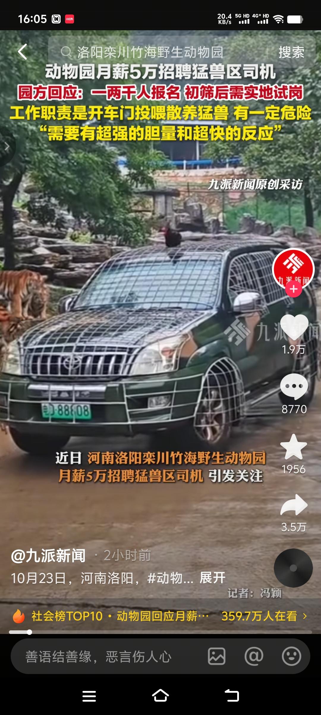 月薪5万，野生动物园招聘猛兽区司机，每天任务就是开特殊车辆进虎山熊窝近距离投食。