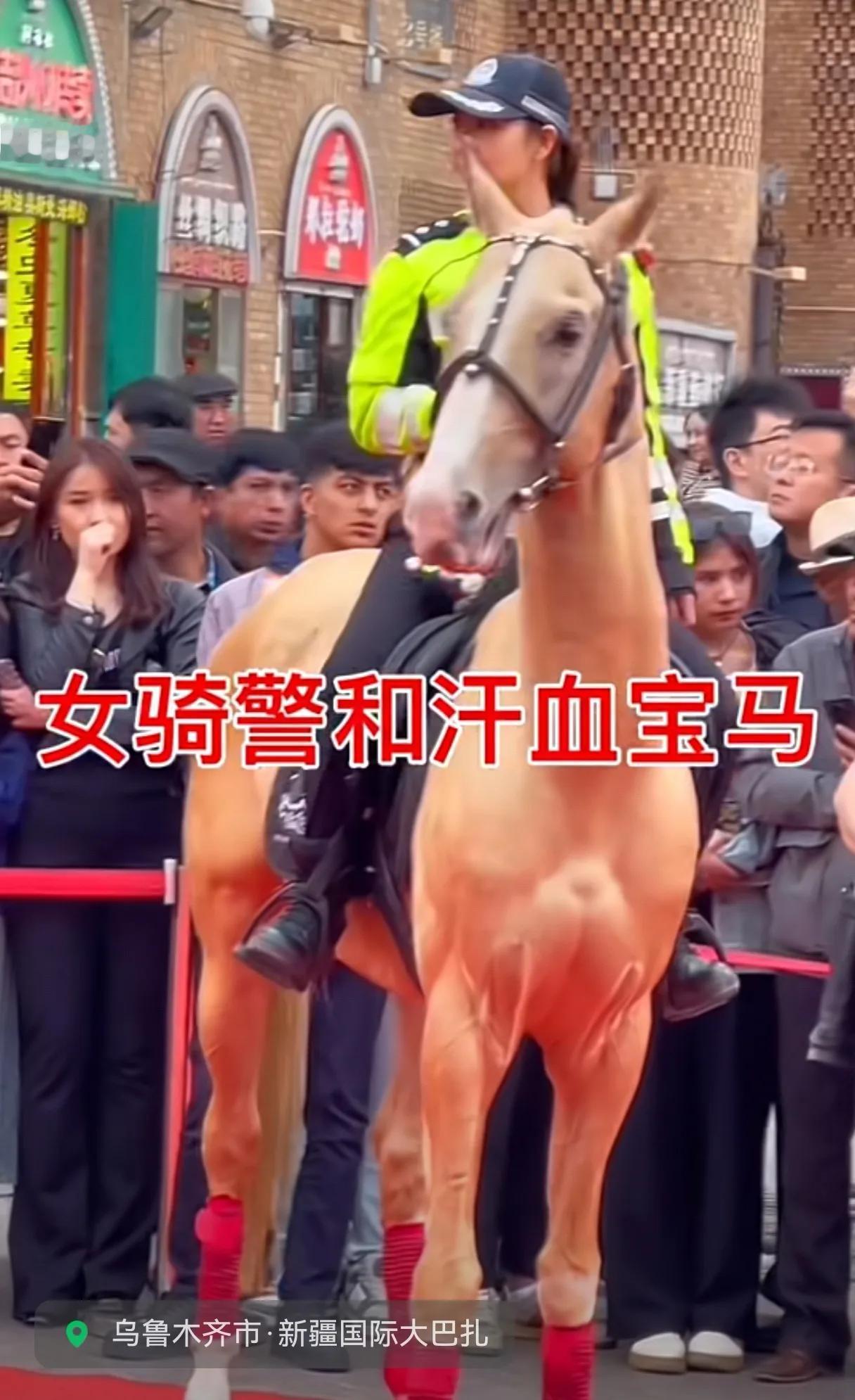 英姿飒爽的女骑警，胯下汗血宝马尤其亮眼。