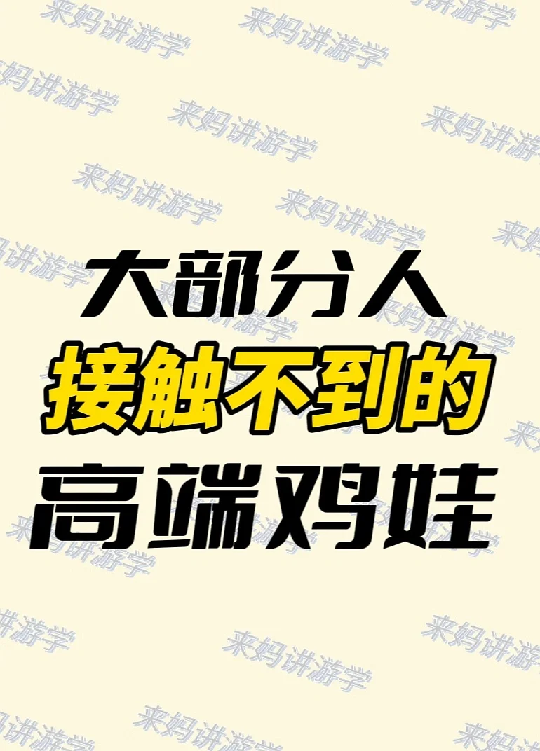高端鸡娃局