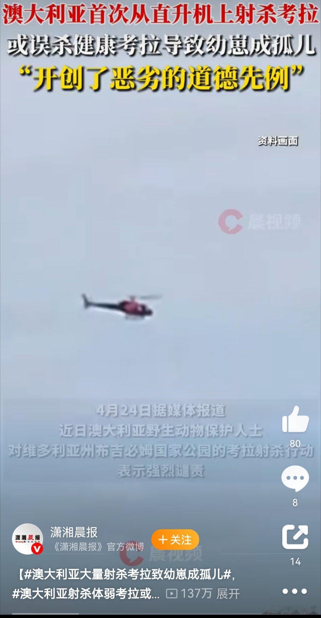 澳大利亚出动直升机扑杀750只考拉澳大利亚军力实在彪悍[doge]，连考拉幼崽都