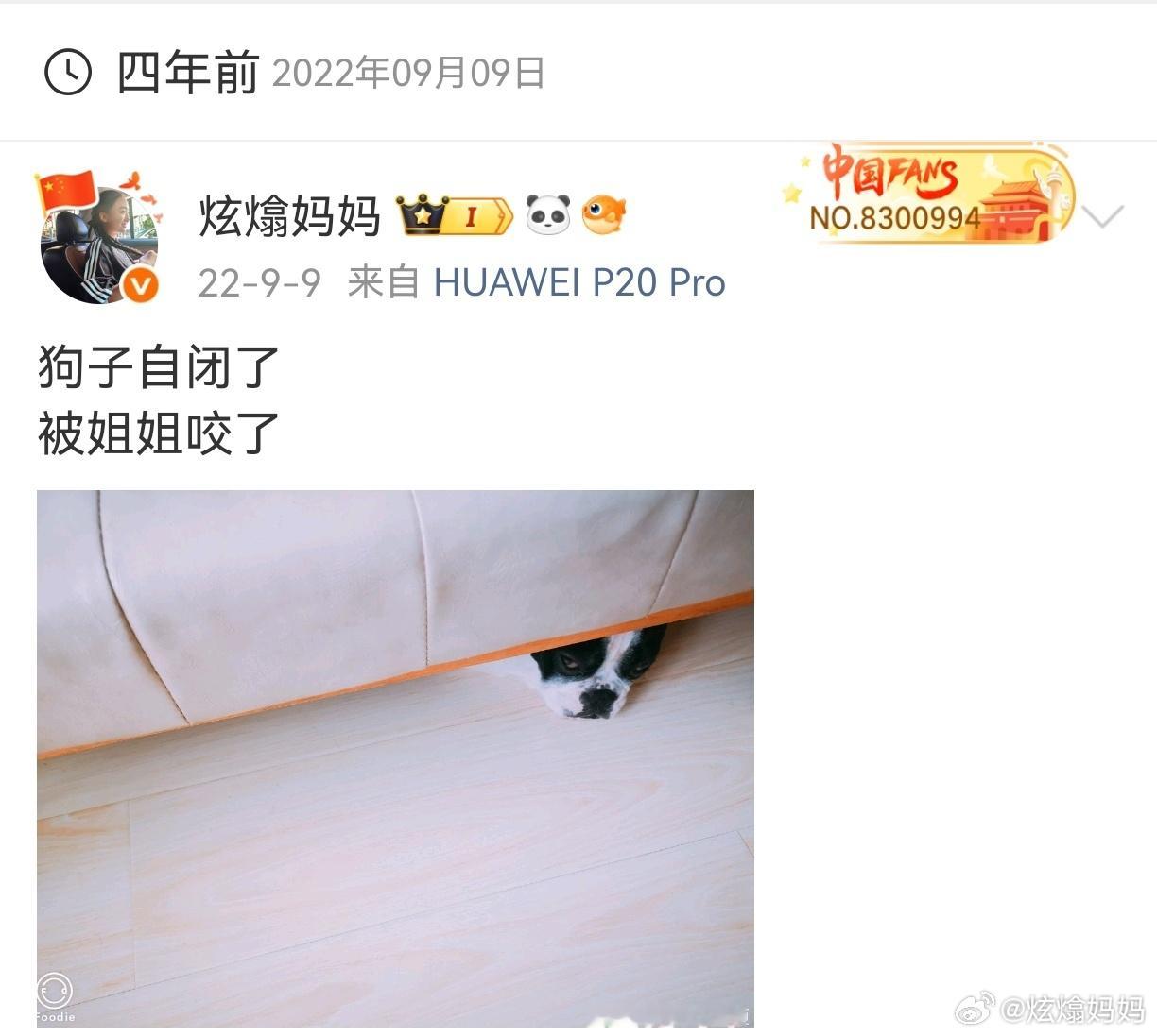 那年今日，欢乐真不少今年今日，我在努力搬砖奋斗教师节[可乐] ​​​
