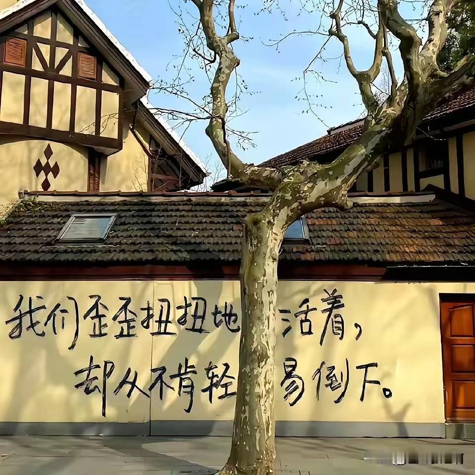 我们及我们的孩子注定会走向平凡，接受自己和孩子普通是家长与孩子和解的开始

谁不