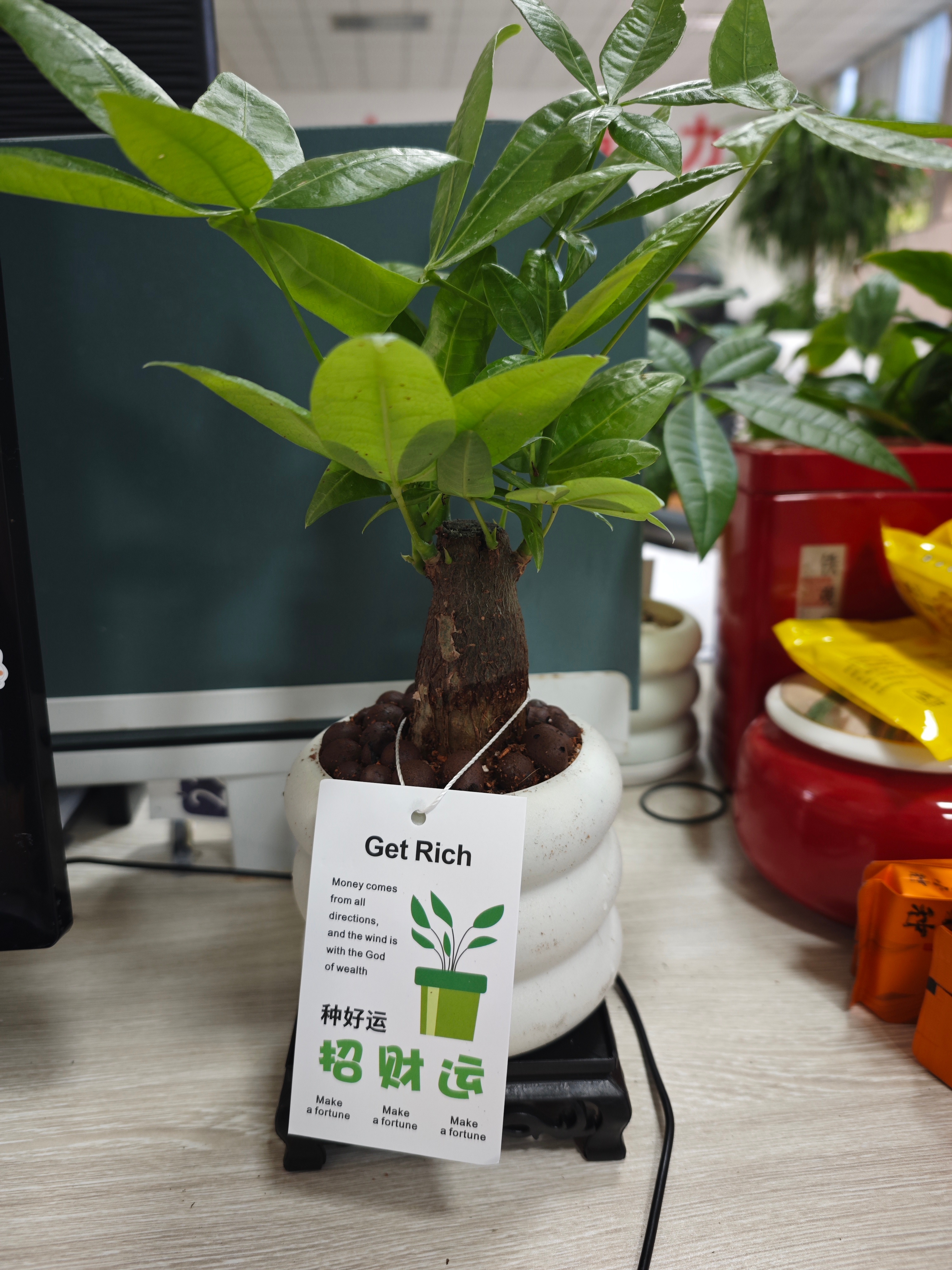 新部门给的入职礼 