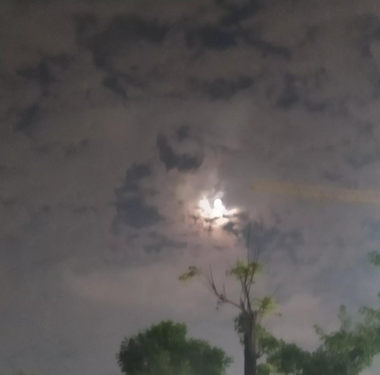 看看我拍的月亮。我昨天晚上发现夜晚的天空特别美，月亮又大又圆又皎洁，周围的云层还