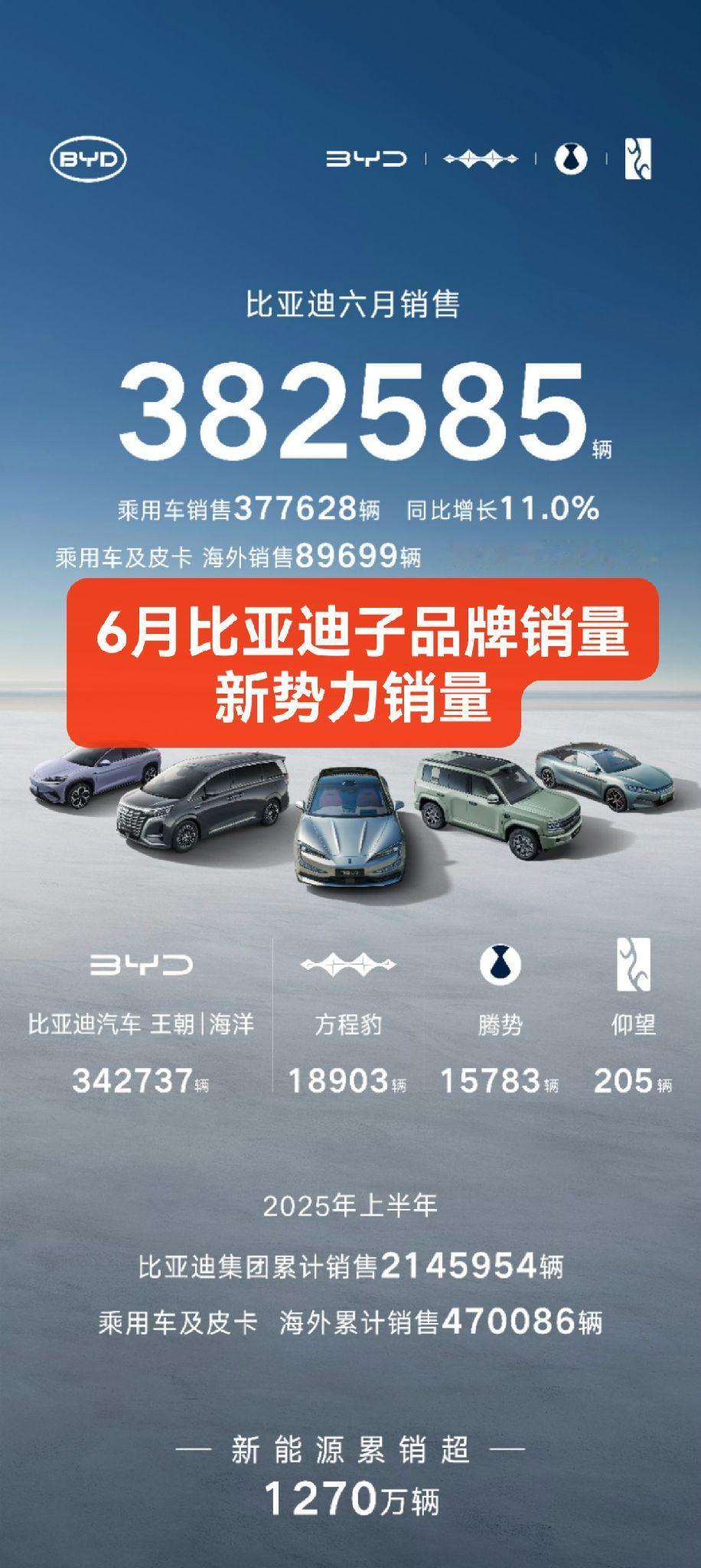6月比亚迪子品牌销量，
新势力销量