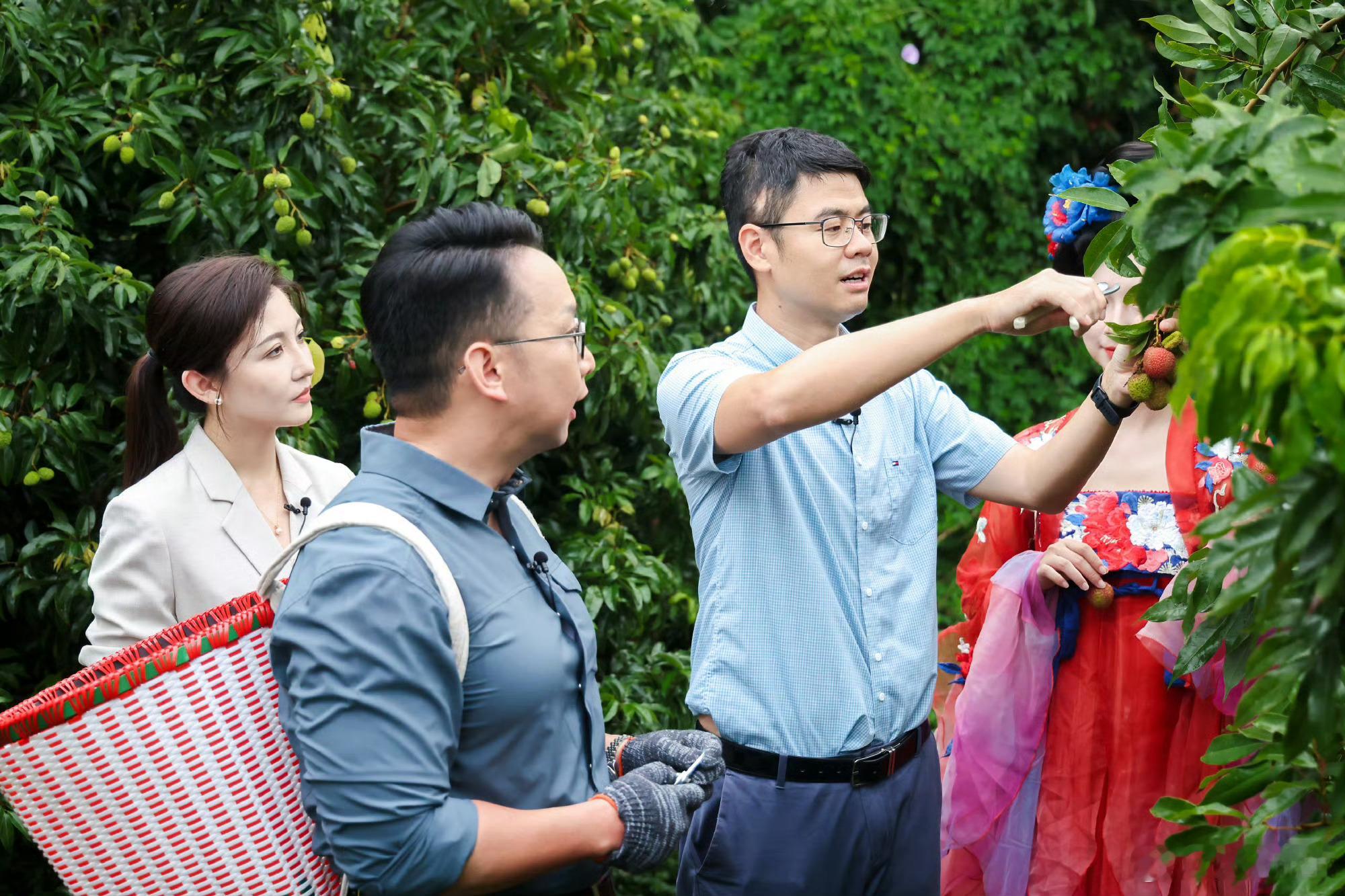格荔万里行荔枝咒破了  专为荔枝等高端鲜果量身打造的格力荔枝冰箱重磅上新，同步启