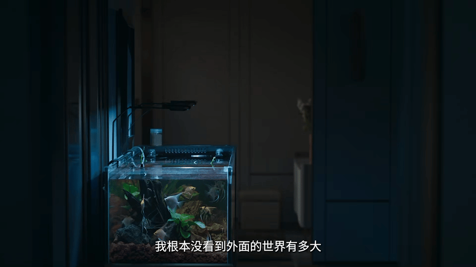 五位妈咪级别的凑一起拍悬疑剧隐身的名字倪妮闫妮刘雅瑟刘敏涛董洁同框！这部女性悬疑