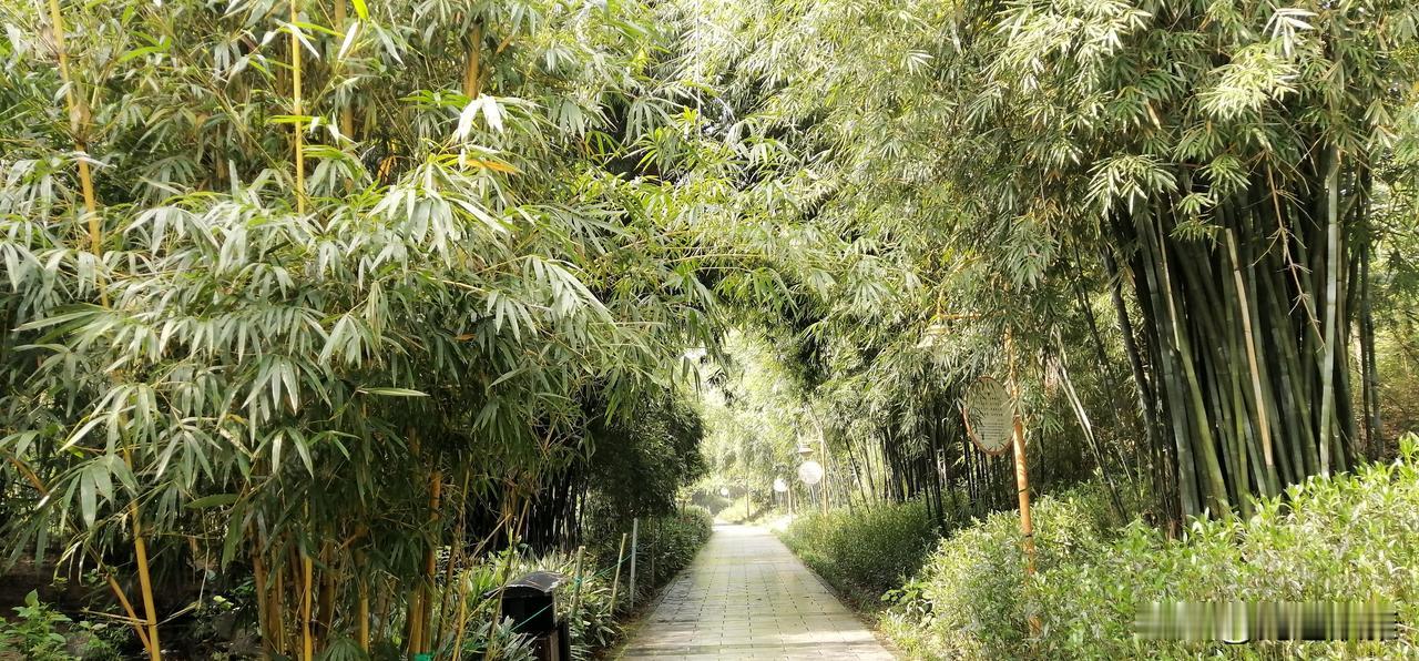 要治晚上失眠，最好的办法就是白天让自己累，累了就能倒头便睡，而且还能一觉睡到大天