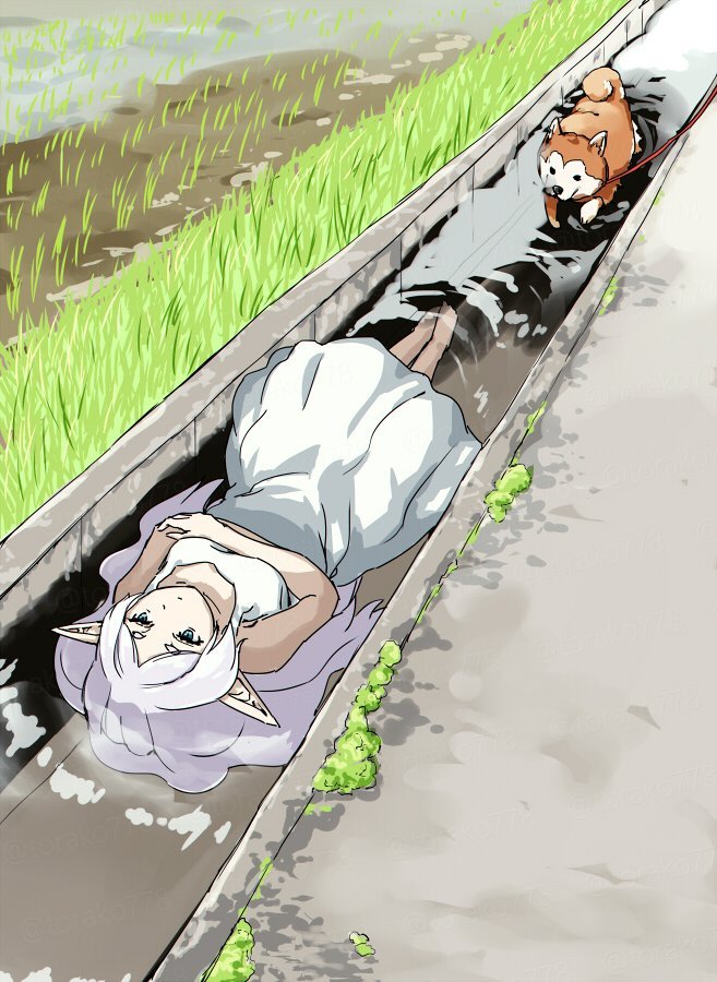 乘凉的芙莉莲x：torako778 