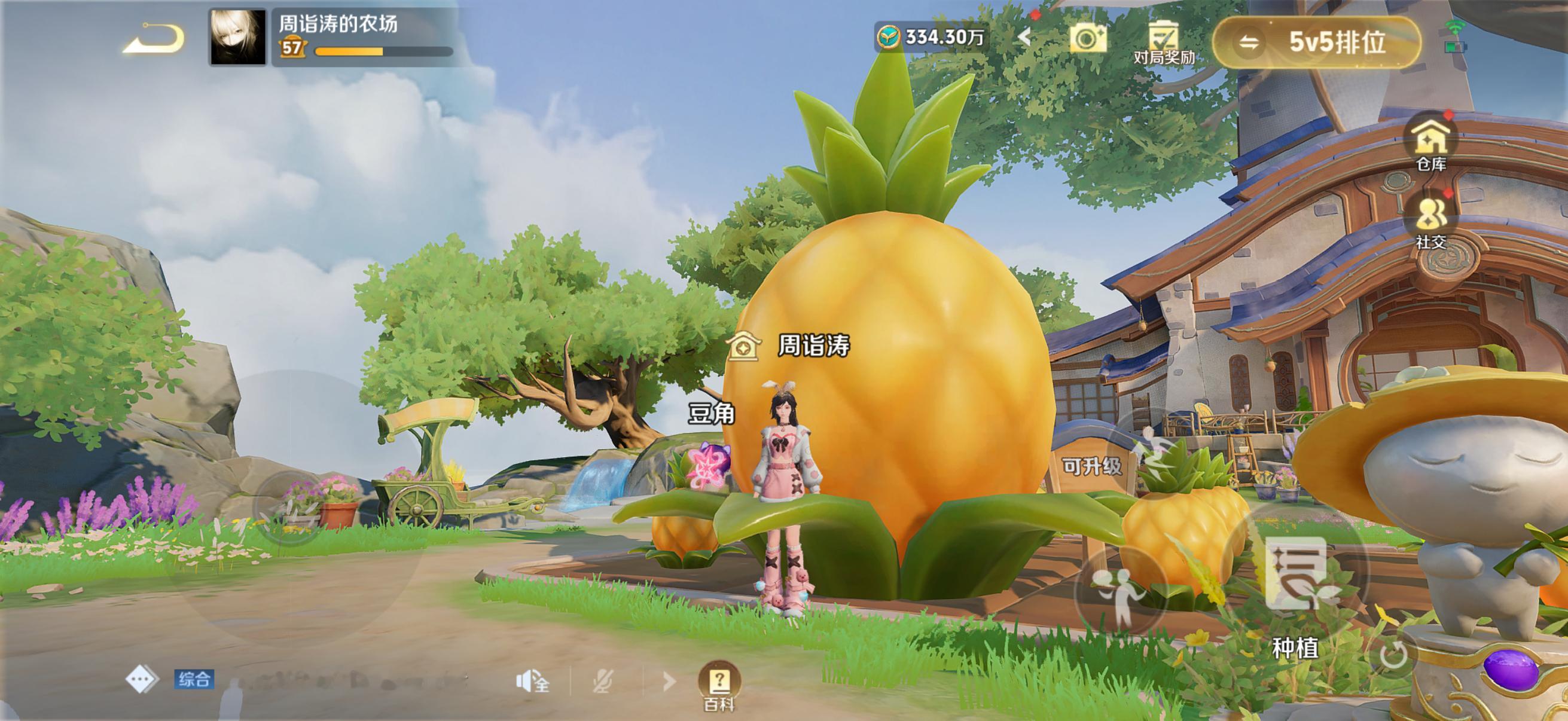 严肃种菜中 