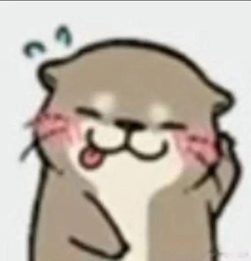 #珍稀动物伪虎鲸再现南通海域#这真的是一个很好的消息，能够再次看到这些物种也是很