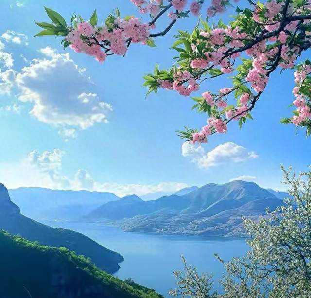 做了四年婆婆，我彻底悟了：婆媳最好的相处模式从来不是掏心掏肺