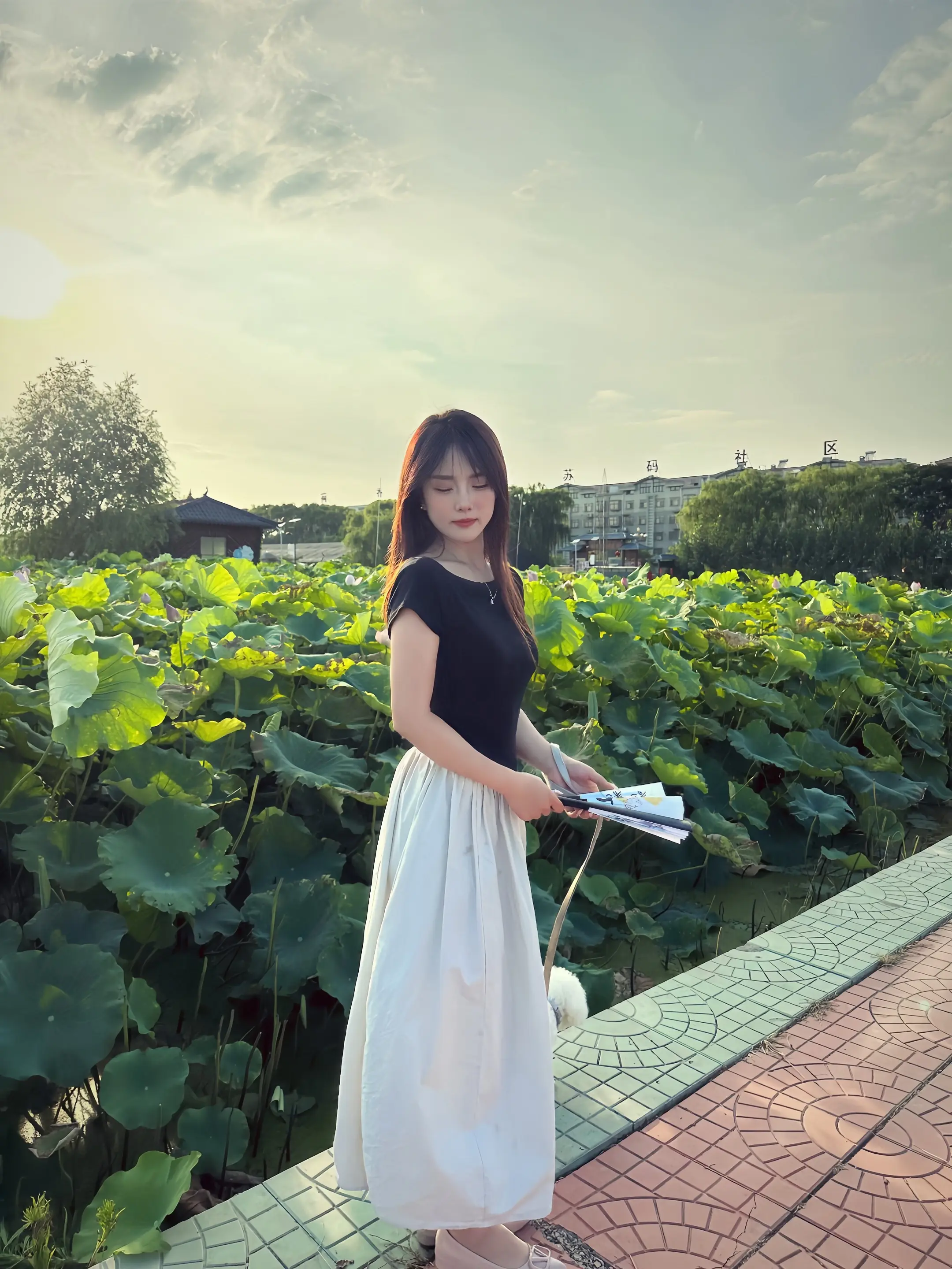 🪷˃̵͈̑ᴗ˂̵͈̑🪷 春有百花 夏有荷
